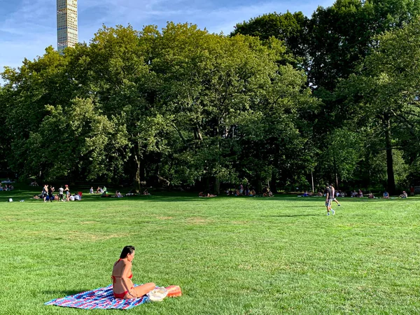 July 2020 New York Usa People Seen Having Picnic Central — Stock Photo, Image