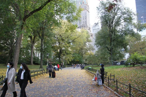 Outubro 2020 Nova York Eua Como Estamos Temporada Outono Flores — Fotografia de Stock