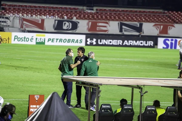 Liga Nacional Fútbol Brasil Sao Paulo Brasil Partido Fútbol Campeonato —  Fotos de Stock