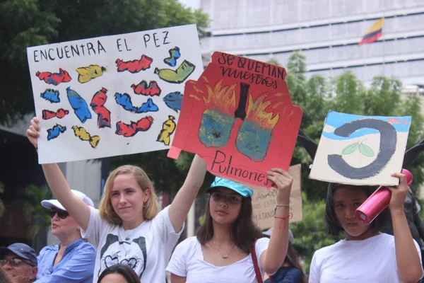 Sao Paulo 2019 People Manifest Climate — 스톡 사진