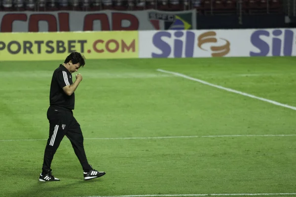 Brazilian National Soccer League Sao Paulo Brazil Soccer Match Brazilian — Stock Photo, Image