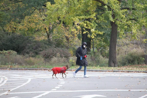 November 2020 New York Usa Weinig Mensen Gekleed Wintertrainingskleding Worden — Stockfoto