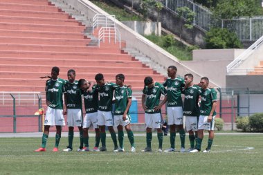 SAO PAULO - JAN 20, 209: PALMEIRAS final of the Paulista Championship at Etadio do Pacaembu, in Sao Paulo