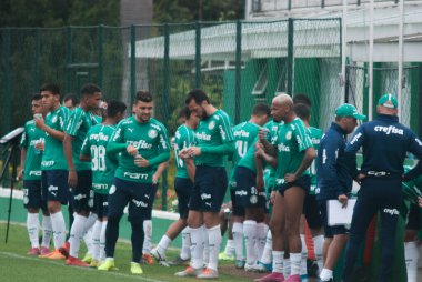SAO PAULO - JAN 20, 209: PALMEIRAS final of the Paulista Championship at Etadio do Pacaembu, in Sao Paulo