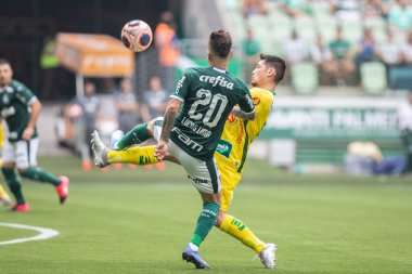 SAO PAULO, SP, 29.01.2020. PAULISTA Şampanyası 2020 - PALMEIRAS X OESTE