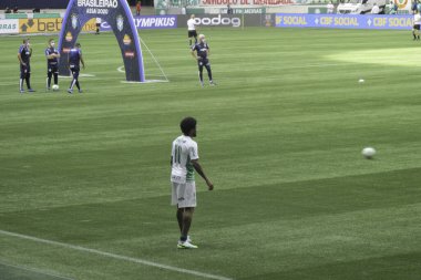 SAO PAULO - JAN 20, 209: PALMEIRAS final of the Paulista Championship at Etadio do Pacaembu, in Sao Paulo