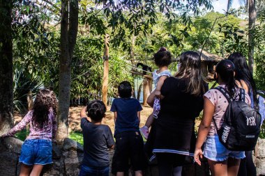 13 Temmuz 2020, Sao Paulo, Brezilya: Pazartesi günü yeniden açılan Sao Paulo kentinin güney bölgesinde yer alan Ibirapuera Park 'ta hareketlilik. Sao Paulo 'nun başkenti kısmen yeniden açılıyor, parklar ve spor merkezleri.
