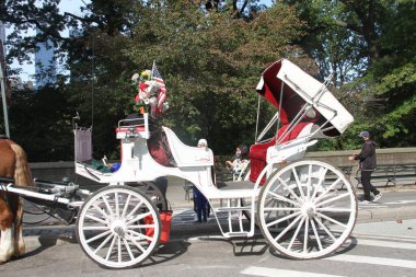 10 Ekim 2020, Central Park, New York, ABD: New York 'taki Central Park At Arabası Turları geri döndü ama Covid-19 salgını yüzünden hala az sayıda müşterimiz var. (Fotoğraf: Niyi Fote / TheNews2 / Deposi