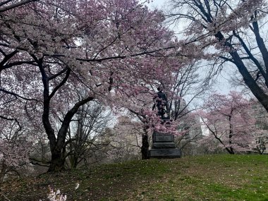 NOVA YORK (EUA), 05 / 02 / 2021 - MOVIMENTACAO CENTACAO PARK - Com a rescaldo da nevasca do dia anterior, nova-iorquinos e turistas sao vistos se divertindo se Central Park. Criancas fazendo snowboard, pessoas andando de carruagem, fazendo boneco de neve