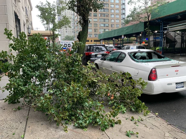 Manhattan Daki Tropikal Fırtına Isaias Sebep Olduğu Hasarlar Ağustos 2020 — Stok fotoğraf