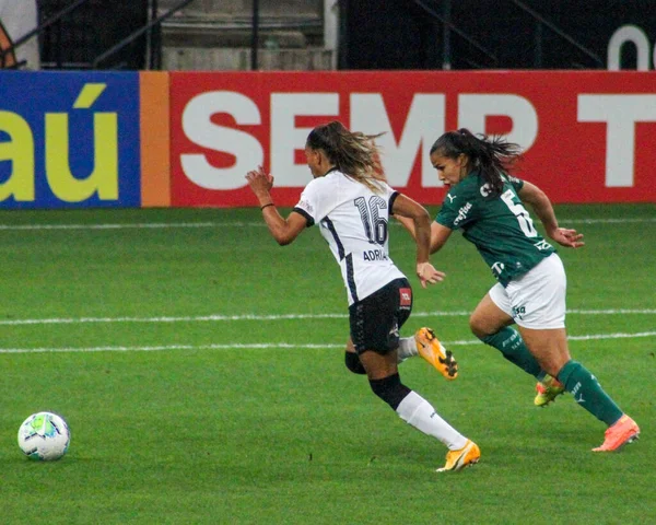 Liga Nacional Fútbol Brasil Sao Paulo Brasil Partido Fútbol Campeonato —  Fotos de Stock