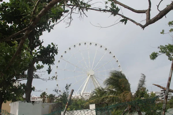 Cancun Meksika Güzel Tropikal Tatil Beldesi Cancun Meksika — Stok fotoğraf