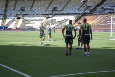 Brezilya Ulusal Futbol Ligi: Sao Paulo, Brezilya: Brezilya Futbol Şampiyonası 