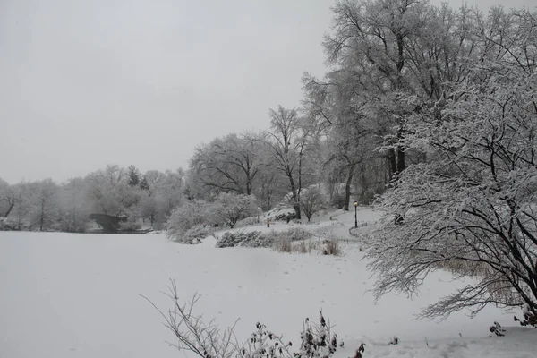 New York Sloeg Toe Met Nog Een Sneeuwval Februari 2021 — Stockfoto