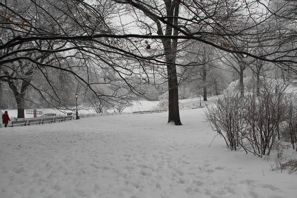 New New York Hit Another Snowfall February 2021 New York — Stock Photo, Image