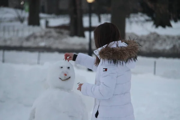 Nieuw Mensen Hebben Plezier Nasleep Van Sneeuwval Central Park Februari — Stockfoto