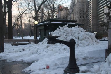 New York, Amerika Birleşik Devletleri: New York, Amerika Birleşik Devletleri 'nde Central Park sahnesi