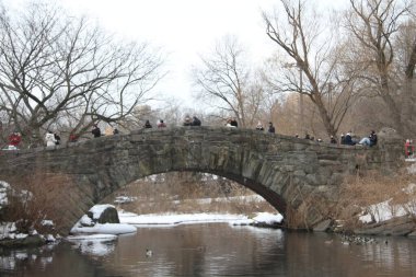 14 Şubat 2021, New York, ABD: Sevgililer Günü Central Park 'ta kutlandı. İnsanlar Sevgililer Günü 'nü danslarla kutlarken, müzikal sunumlar dinlerken, deniz aslanlarıyla eğlenirken ve Central Park, New York' ta eğlenirken görülüyorlar. 