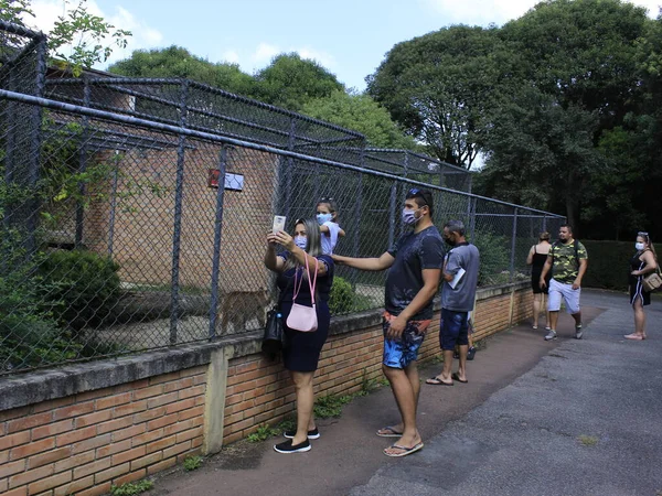 Int Återupptagande Djurparken Curitiba Februari 2021 Curitiba Parana Brasilien Efter — Stockfoto