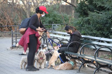 63F ile, New York 'lular güzel havanın tadını çıkarmak için Central Park' a akın ediyorlar. 9 Mart 2021, New York, ABD: 63F 'nin güzel ve güneşli havasıyla, New Yorklular eğlenmeye ve iyi havanın tadını çıkarmaya koşuyorlar