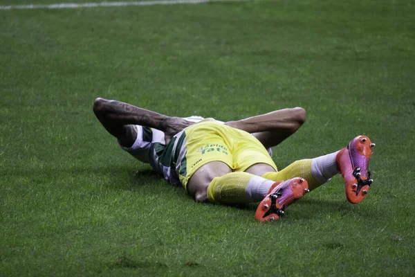 Conmebol Recopa Final Palmeiras Kontra Defensa Justicia 2021 Április Brazília — Stock Fotó