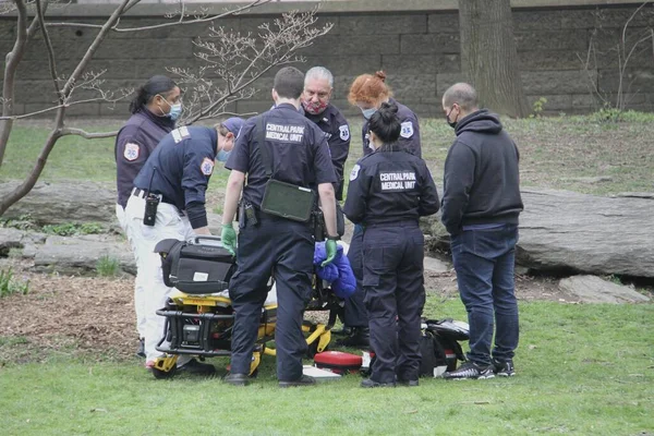 Central Park Bir Çocuk Ağaçtan Düştü Nisan 2021 New York — Stok fotoğraf