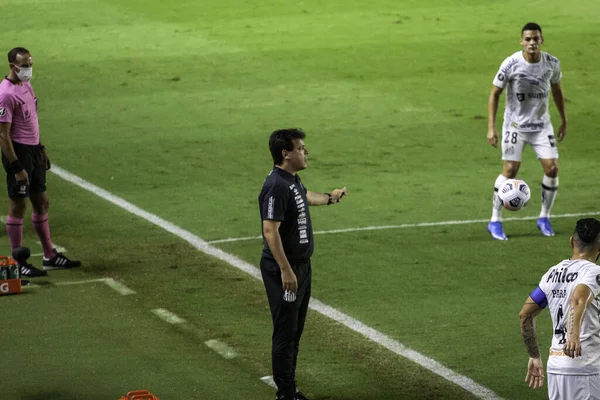 Santos 2021 リベルタドーレス Santos Boca Juniors サントスとボカ ジュニア アルゼンチン の試合中に入札し — ストック写真