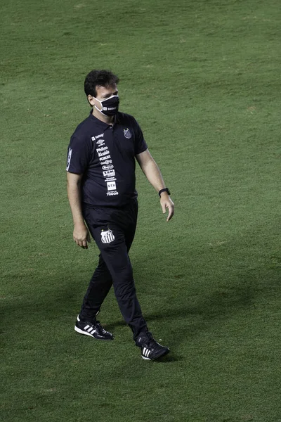 Santos 2021 Copa Libertadores Santos Boca Juniors Licitação Durante Partida — Fotografia de Stock