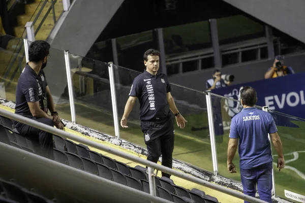 Santos 2021 Copa Libertadores Santos Boca Juniors Licitação Durante Partida — Fotografia de Stock