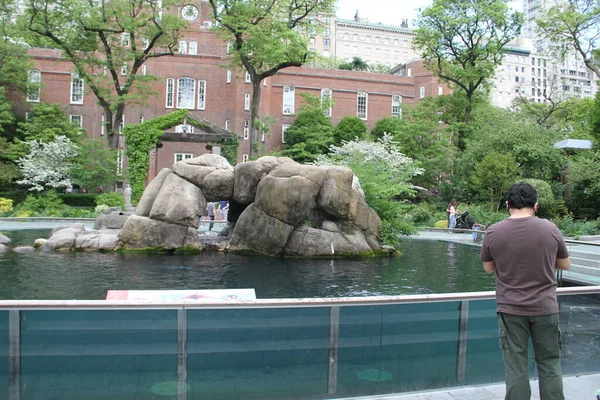 Central Park Zoo Uma Atração Para Visitantes Maio 2021 Nova — Fotografia de Stock