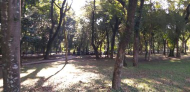 Ibirapuera Parkı 'nda hareket var. 17 Mayıs 2021, Sao Paulo, Brezilya: 17 Mayıs Pazartesi günü, Sao Paulo 'daki Ibirapuera Parkı' nda, Coronavirus (Covid-19) salgınının ortasında insanların hareketi. 