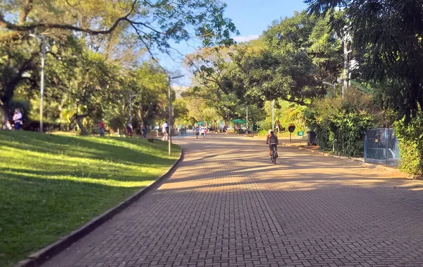 Mozgalom Ibirapuera Parkban 2021 Május Sao Paulo Brazília Emberek Mozgása — Stock Fotó
