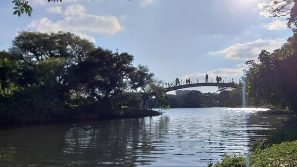 Beweging Het Ibirapuera Park Mei 2021 Sao Paulo Brazilië Beweging — Stockfoto