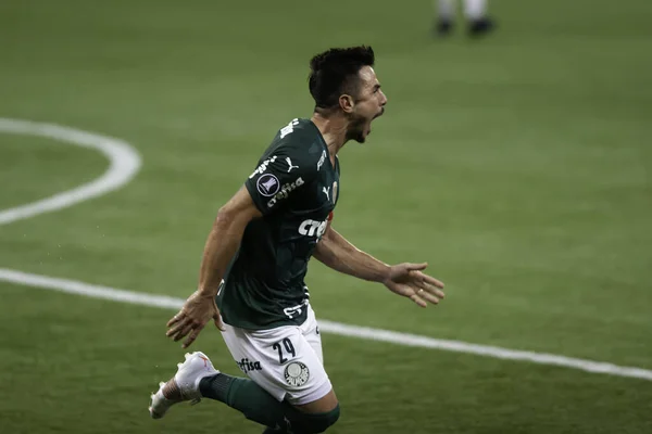 Jogo Entre Palmeiras Defensa Justicia Libertadores Maio 2021 São Paulo — Fotografia de Stock