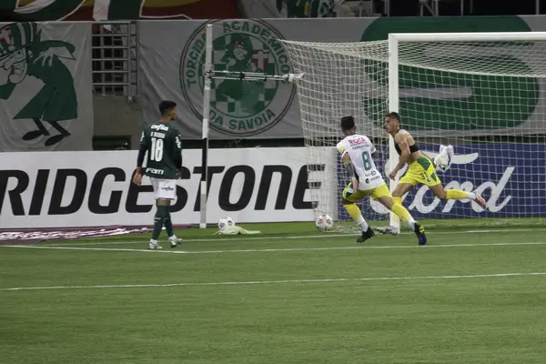 Jogo Entre Palmeiras Defensa Justicia Libertadores Maio 2021 São Paulo — Fotografia de Stock