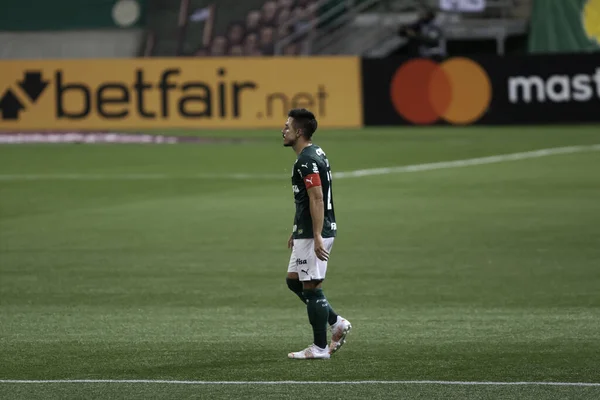 Palmeiras Defensa Justicia Arasındaki Maç Libertadores Mayıs 2021 Sao Paulo — Stok fotoğraf