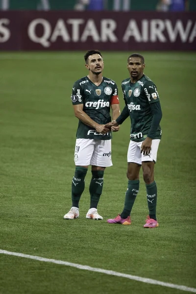 Spiel Zwischen Palmeiras Und Defensa Justicia Libertadores Mai 2021 Sao — Stockfoto