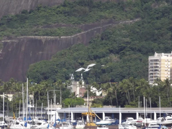 Movement Edge Rio Janeiro May 2021 Rio Janeiro Brazil Movement — Stock Photo, Image