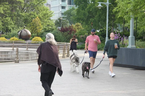 Movement People Hudson River Park Mai 2021 New York États — Photo