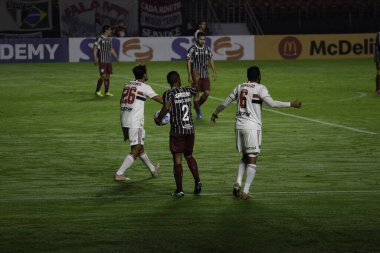 Brezilya Futbol Şampiyonası: Sao Paulo ve Fluminense. 29 Mayıs 2021, Sao Paulo, Brezilya: 2021 Brezilya Futbol Şampiyonası 'nın ilk turu için geçerli olan Sao Paulo ve Fluminense maçına başlamadan önce Fluminense' den Koç Roger Machado
