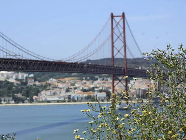 Visita Turística Monumento Cristo Rey Lisboa Mayo 2021 Lisboa Portugal —  Fotos de Stock