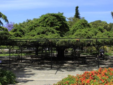 Lisbon 'daki Principe Real Garden manzarası. 3 Haziran 2021, Lizbon, Portekiz: Bairro Alto 'nun eteklerinde bulunan Principe Real Garden manzarası, 19. yüzyılın ortalarında inşa edildi.. 