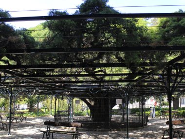 Lisbon 'daki Principe Real Garden manzarası. 3 Haziran 2021, Lizbon, Portekiz: Bairro Alto 'nun eteklerinde bulunan Principe Real Garden manzarası, 19. yüzyılın ortalarında inşa edildi.. 