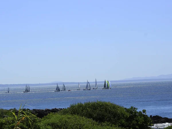 Sunny Day Suitable Sailing Cascais June 2021 Cascais Portugal Sunny — Stock Photo, Image