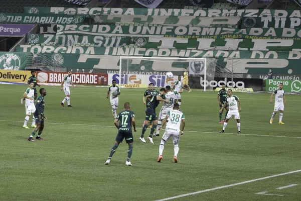 Campeonato Brasileiro Futebol Palmeiras Chapecoense Junho 2021 São Paulo Brasil — Fotografia de Stock