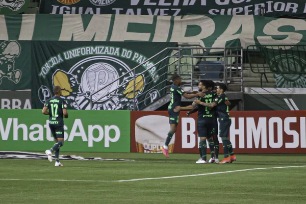 Campeonato Brasileño Fútbol Palmeiras Chapecoense Junio 2021 Sao Paulo Brasil — Foto de Stock