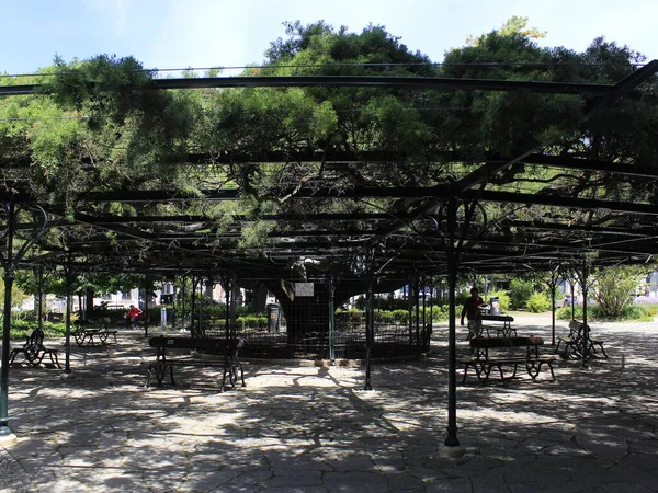 Реальний Сад Принципів Лісабоні Червня 2021 Лісабон Португалія Вид Справжній — стокове фото