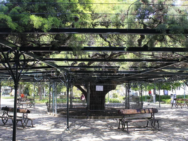 Lisbon 'daki Principe Real Garden manzarası. 3 Haziran 2021, Lizbon, Portekiz: Bairro Alto 'nun eteklerinde bulunan Principe Real Garden manzarası, 19. yüzyılın ortalarında inşa edildi.. 