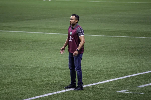 Campeonato Brasileiro Futebol Palmeiras Chapecoense Junho 2021 São Paulo Brasil — Fotografia de Stock