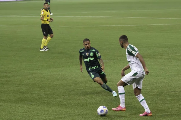 Championnat Brésil Football Palmeiras Chapecoense Juin 2021 Sao Paulo Brésil — Photo